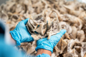 TOP LEVEL BIRD'S NEST THAI CO.,LTD.