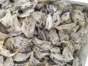 top level bird's nest thai co.,ltd.